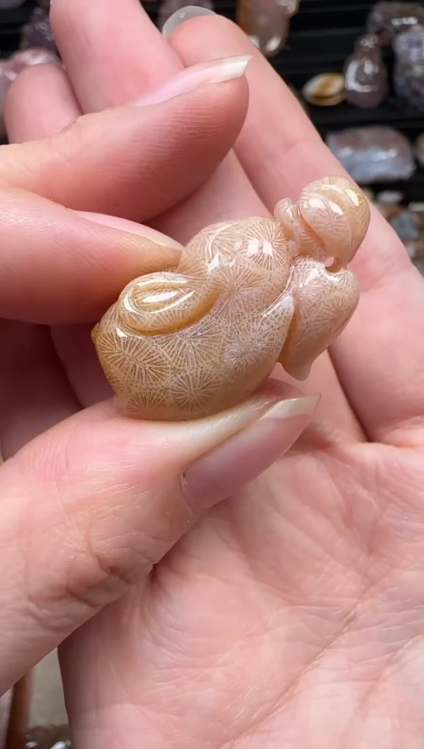 颈饰未镶嵌硅化珊瑚（珊瑚玉）909