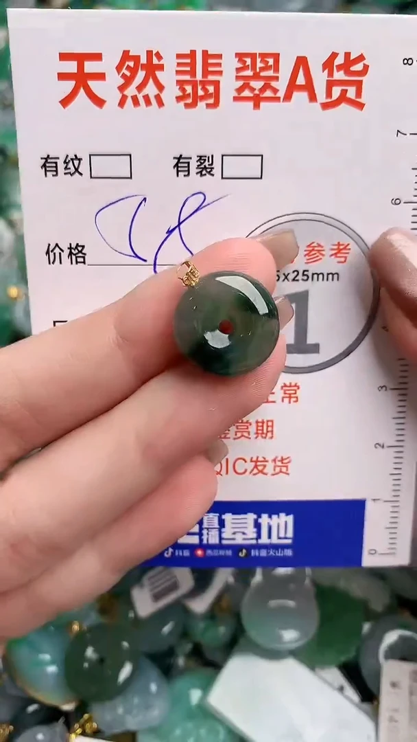 翡翠18K金镶嵌颈饰24000016