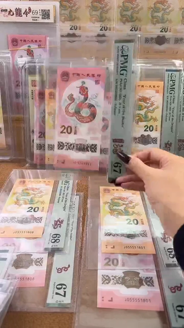 塑料九龙令055559961金马号