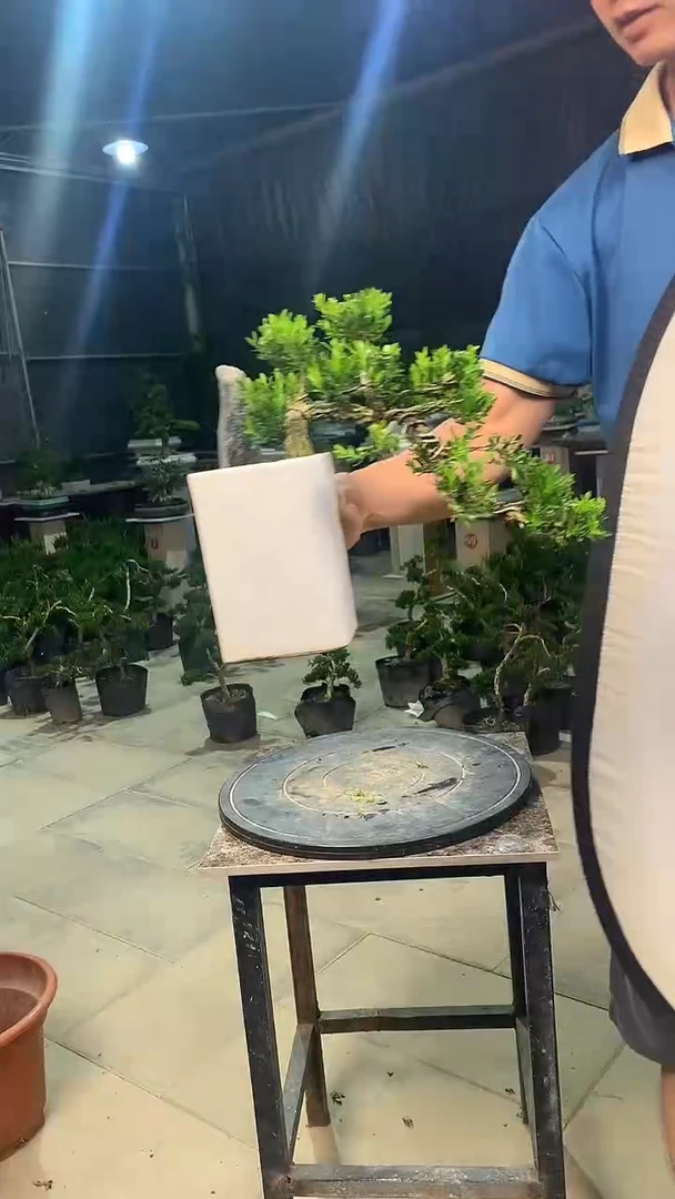 完全开放赤***?1111111
