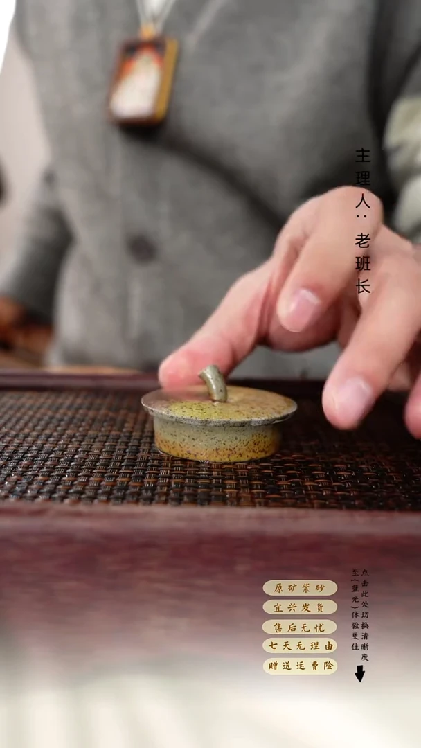 茶壶紫砂紫砂 壶