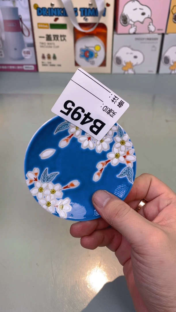 【闪购商品】瓷片495（4