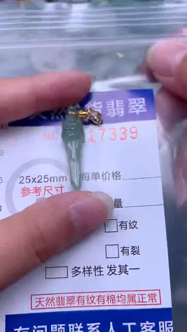 翡翠未镶嵌吊坠(不含链)1