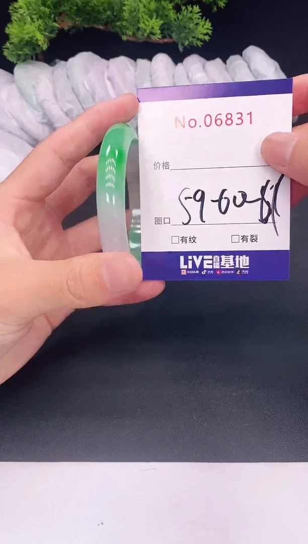 未镶嵌手镯翡翠06831