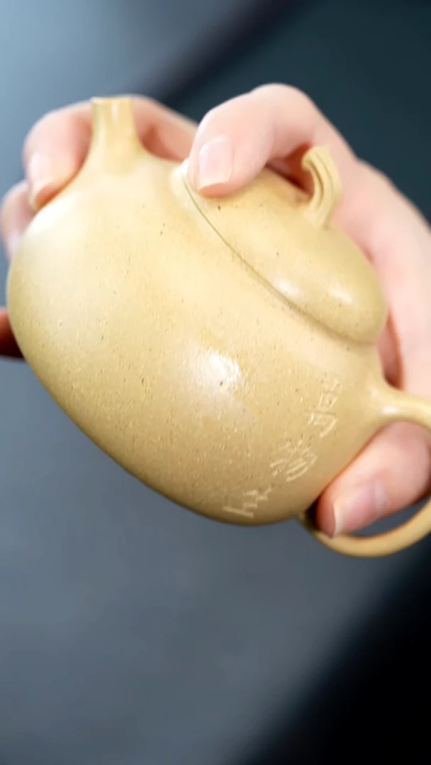 茶壶紫砂14宜兴紫砂壶惊喜