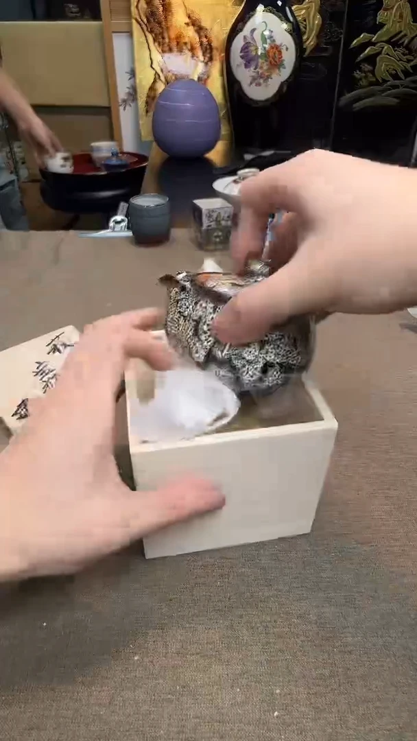 茶宠瓷器茶具套装