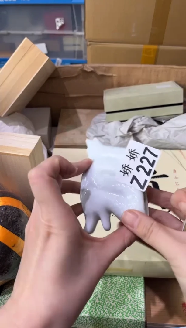 瓷片一***咪227定向 一只小猪咪