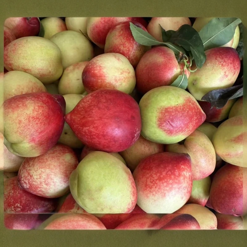 新鲜油桃，水蜜桃，1000g甜蜜蜜云南省