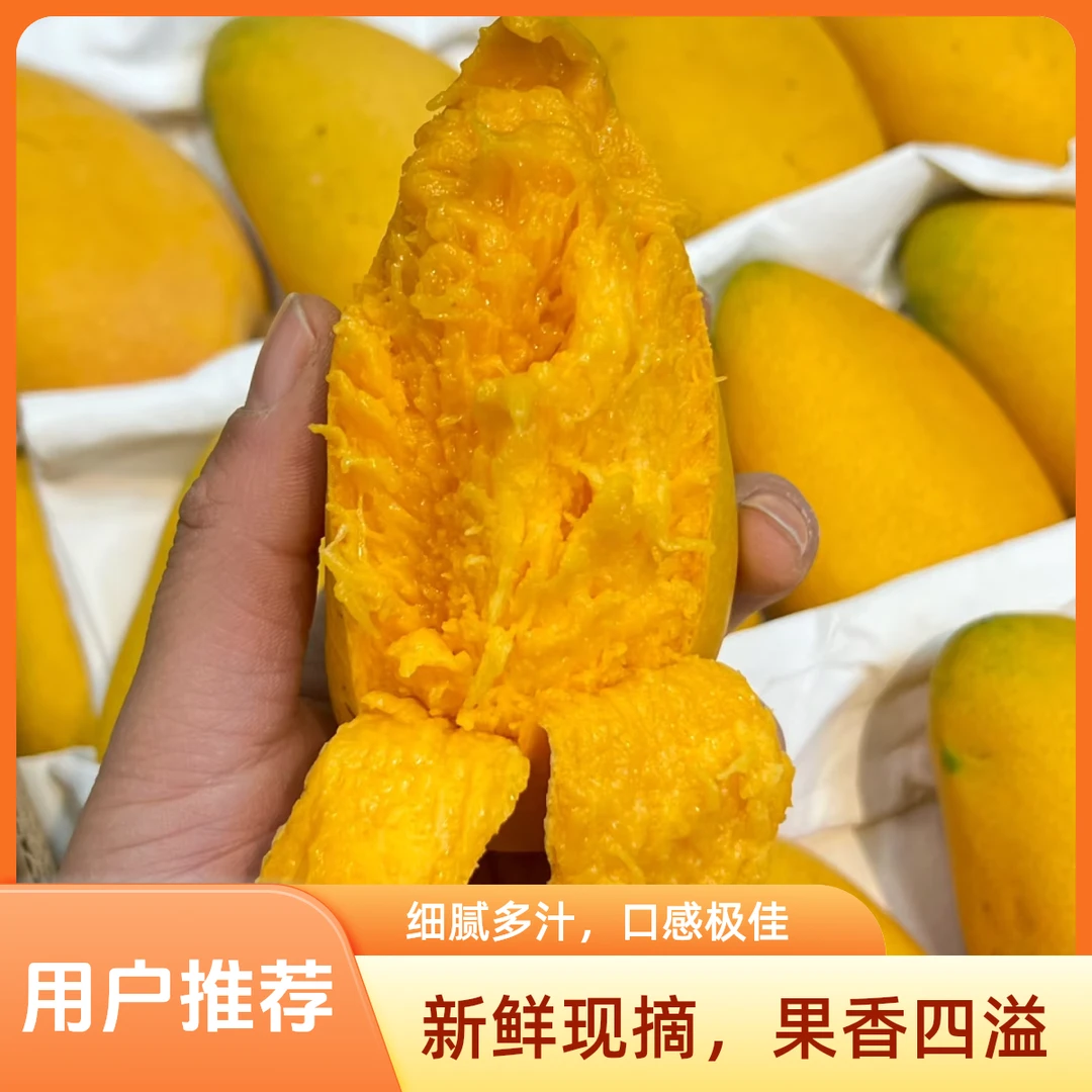 【华都鲜品】皮薄肉厚小台芒1.5斤芒果同城送