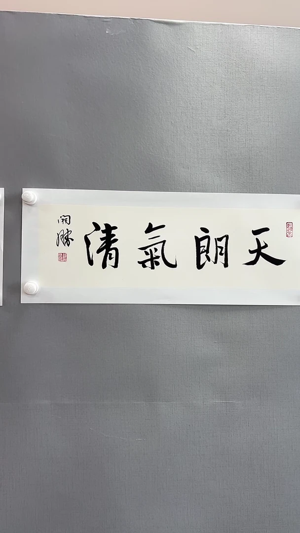 【闪购商品】书法雅艺典藏文化书法