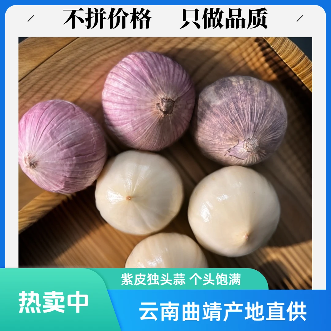 云南紫皮独头蒜蒜头现挖香辣特饱满新鲜农家紫皮独头大蒜农家自种