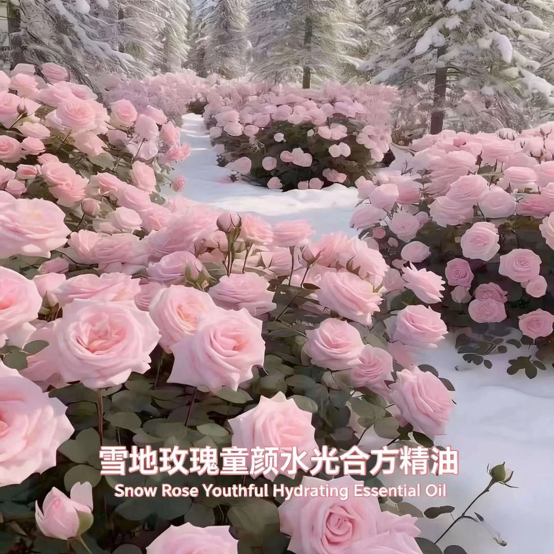 新店精油礼-雪地玫瑰童颜水光合方精油
