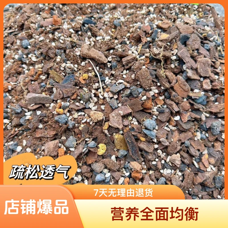 竹子内门专用喝水营养土多肉