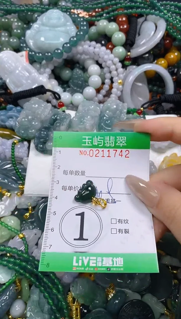 颈饰未镶嵌翡翠闪购0211742