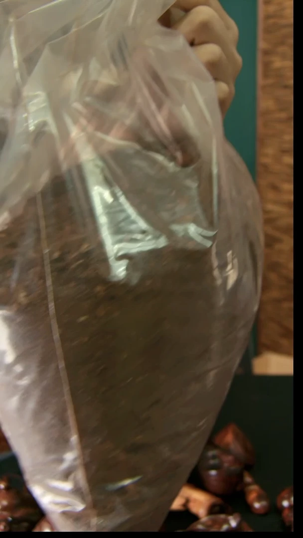 【闪购商品】黄花梨/降香黄檀手串/手链海黄粉