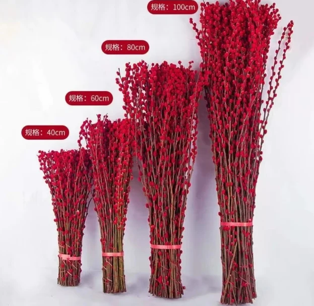 80cm【直播福利】真花鲜枝耐寒年宵花水培花卉室内银柳银柳真花鲜枝