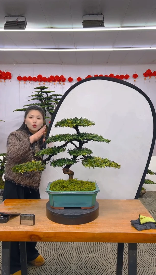 【闪购商品】盆景1