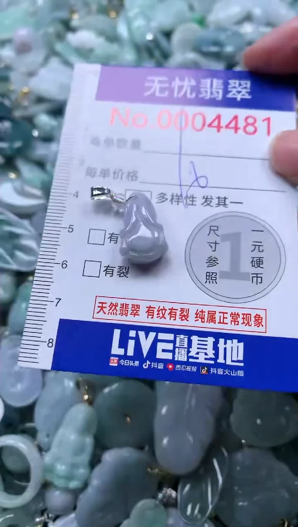 颈饰未镶嵌翡翠4481
