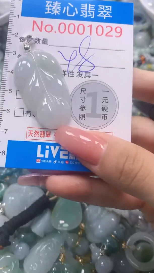 翡翠未镶嵌颈饰1029