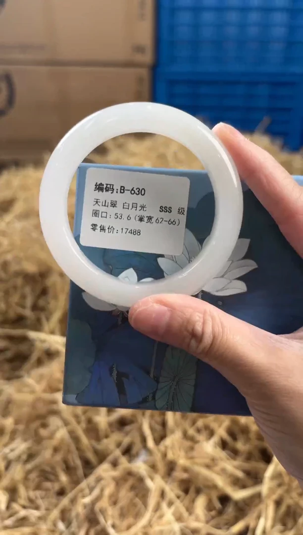 未镶嵌手镯石英质玉B630