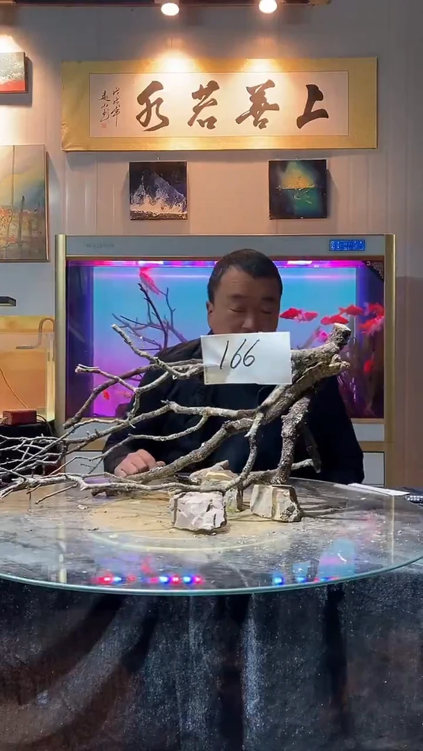 166号天然黄栎木一组长73适合80-90缸