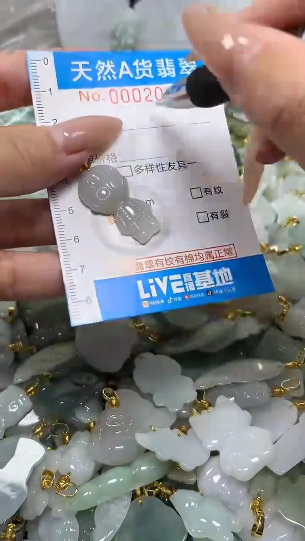 翡翠未镶嵌颈饰净货挂件-2013