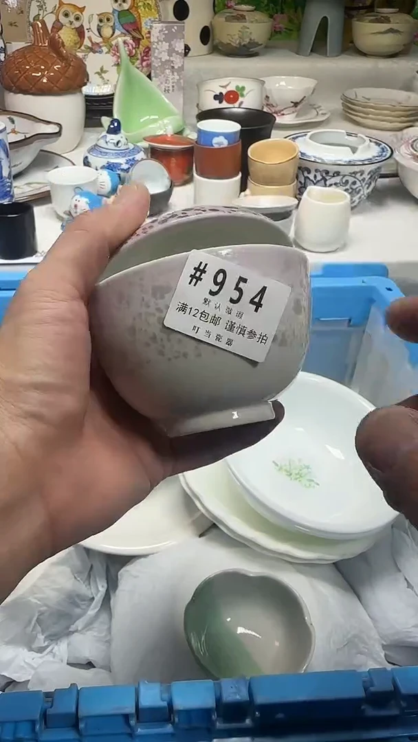 瓷片꒰****꒱954pppppppppp