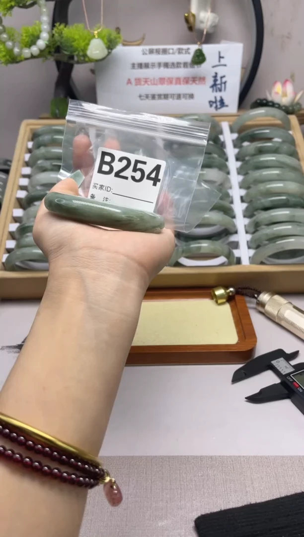 【闪购商品】石英质玉（天山翠）手镯未镶嵌b254