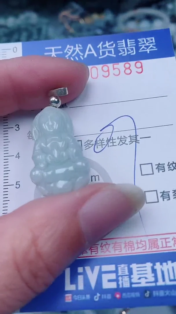 翡翠未镶嵌颈饰00009589