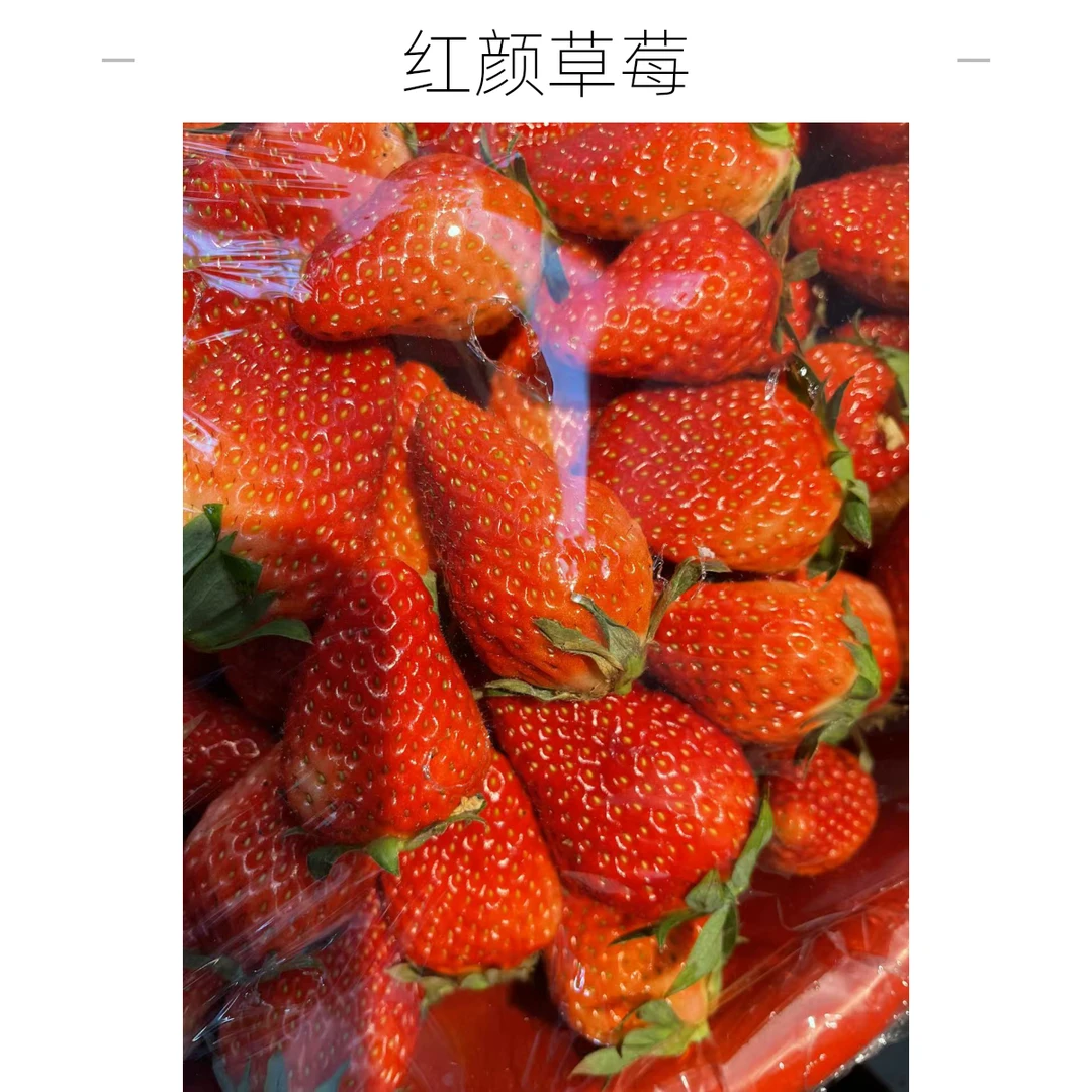 红颜草莓(香甜可口,25元2斤)99红颜布基纳法索