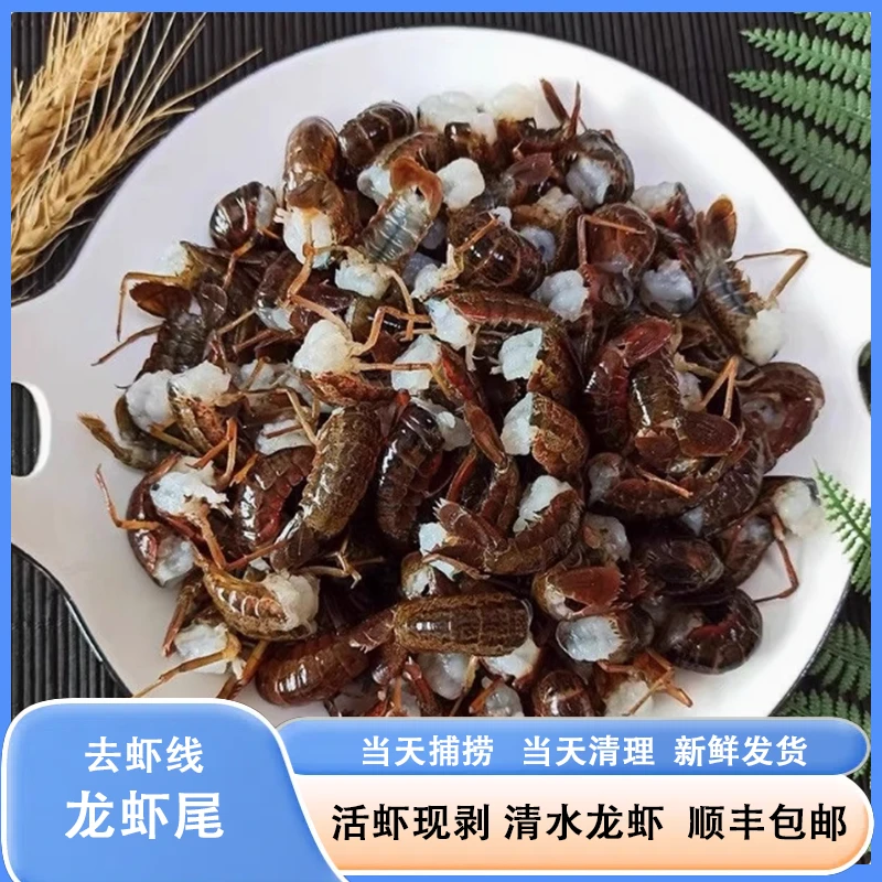 活虾现剥 去虾线龙虾尾新鲜美味 当季鲜活新虾连云港顺丰冷链发货