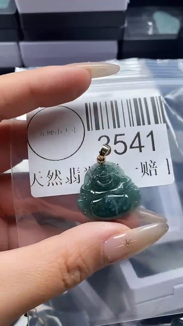 颈饰未镶嵌翡翠3541