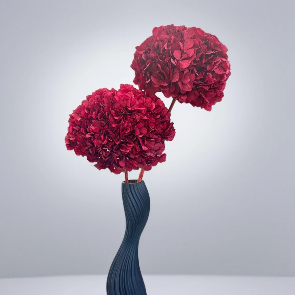 安哥拉红 特A+级永生花绣球花期长基地直发高级感欧式装饰摆件陈