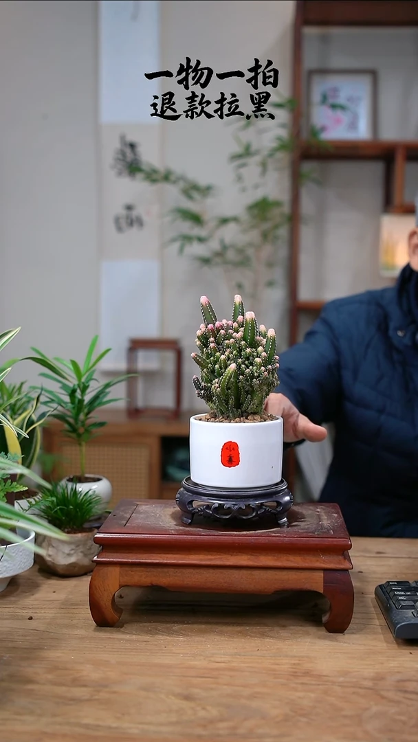 完全开放风**淡万重山111