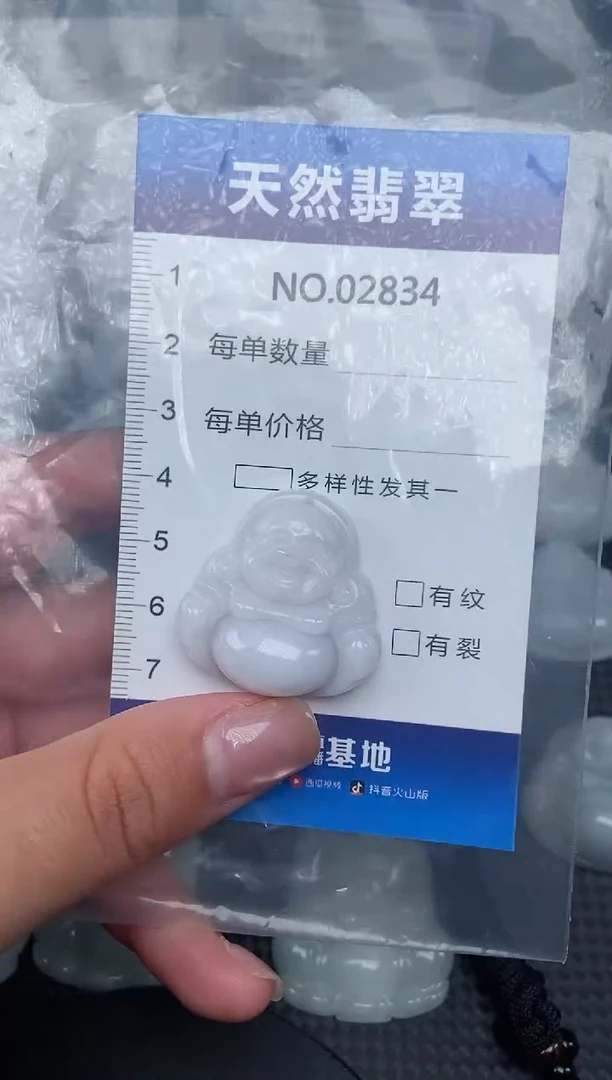 颈饰未镶嵌翡翠纯天然A货翡翠2834