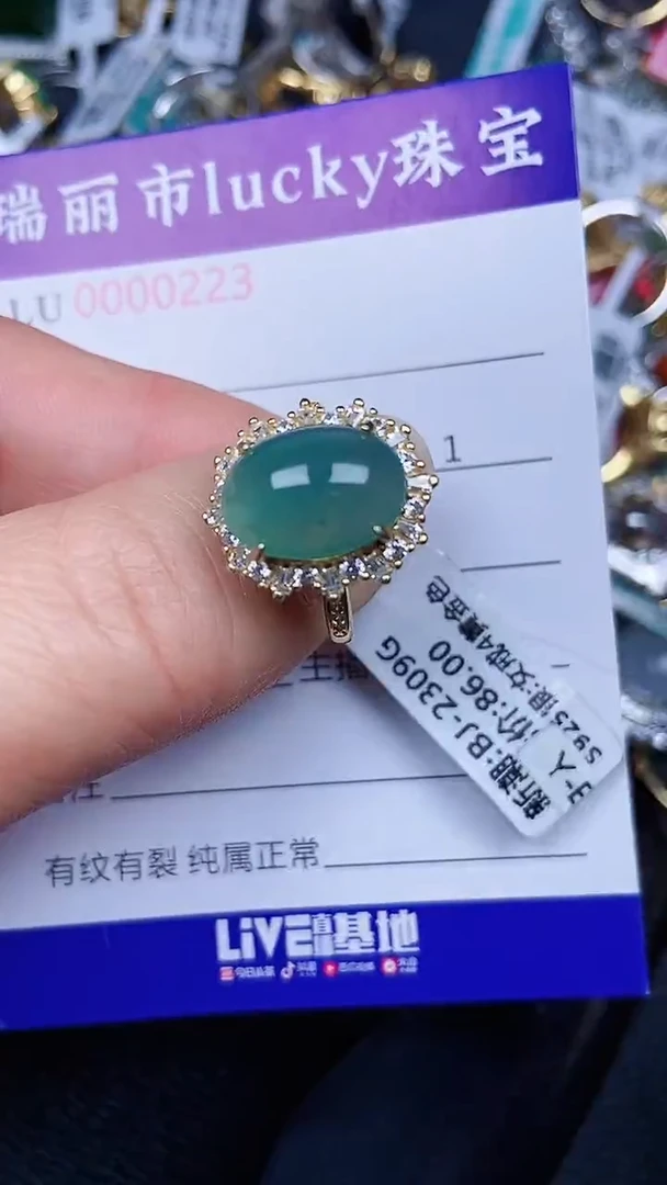 颈饰银S925镶嵌翡翠0223