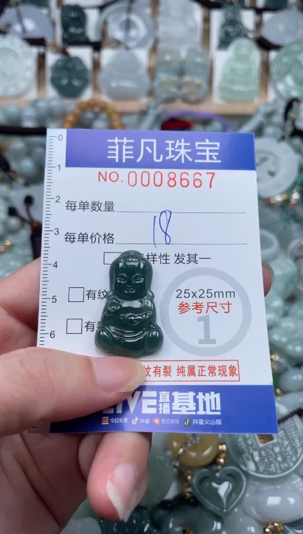 翡翠未镶嵌颈饰00..8667