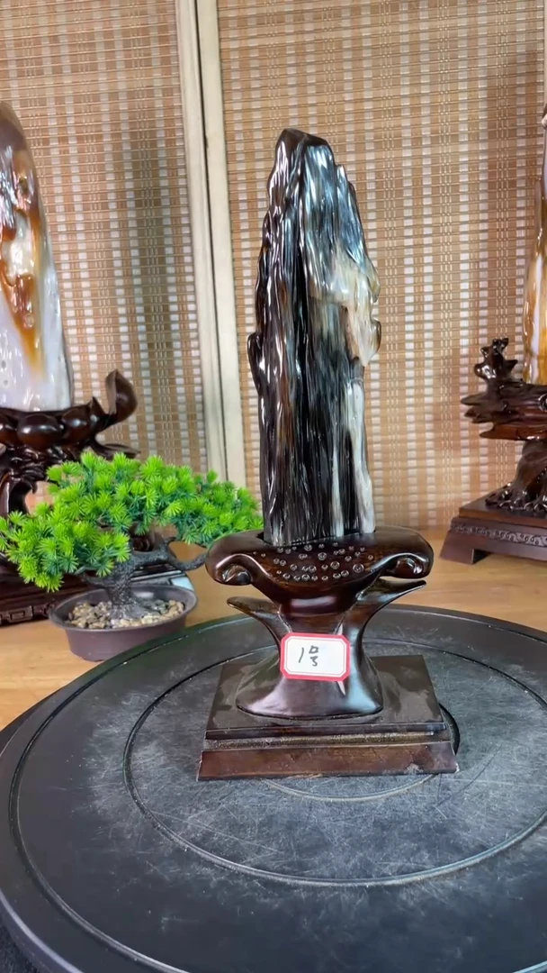 硅化玉珠宝奇石未镶嵌230