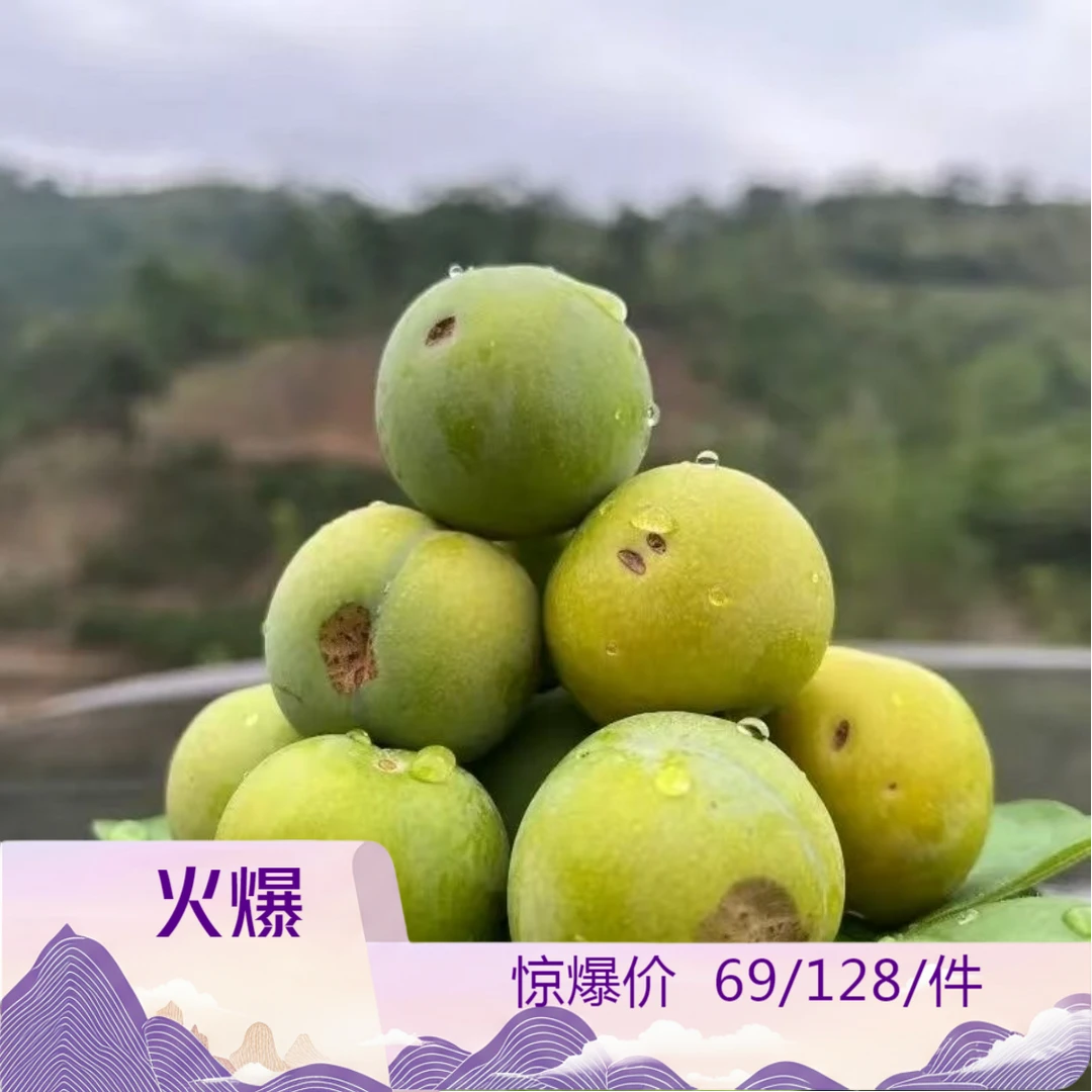 （十年老树）正宗贵州镇宁首家六马蜂糖李基地直发新鲜瑕疵果