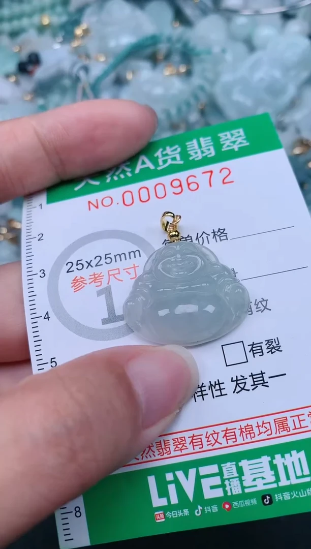 翡翠未镶嵌颈饰.0009672