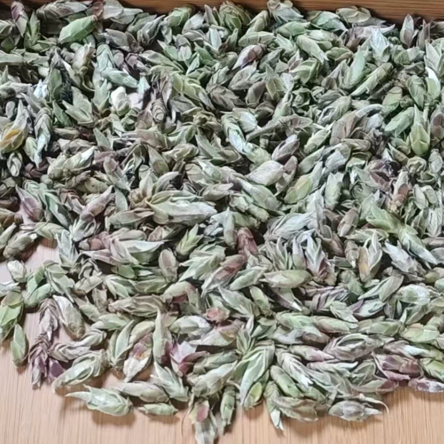 2025年 野生芽孢 250克 1月16号 【20号】