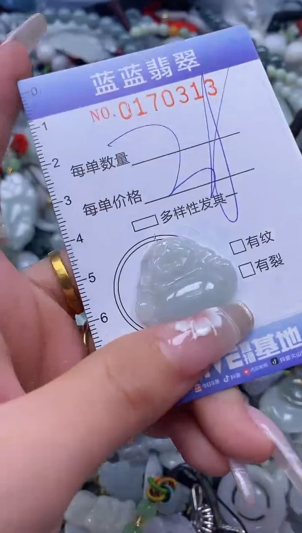 【闪购商品】翡翠颈饰未镶嵌闪购0170313