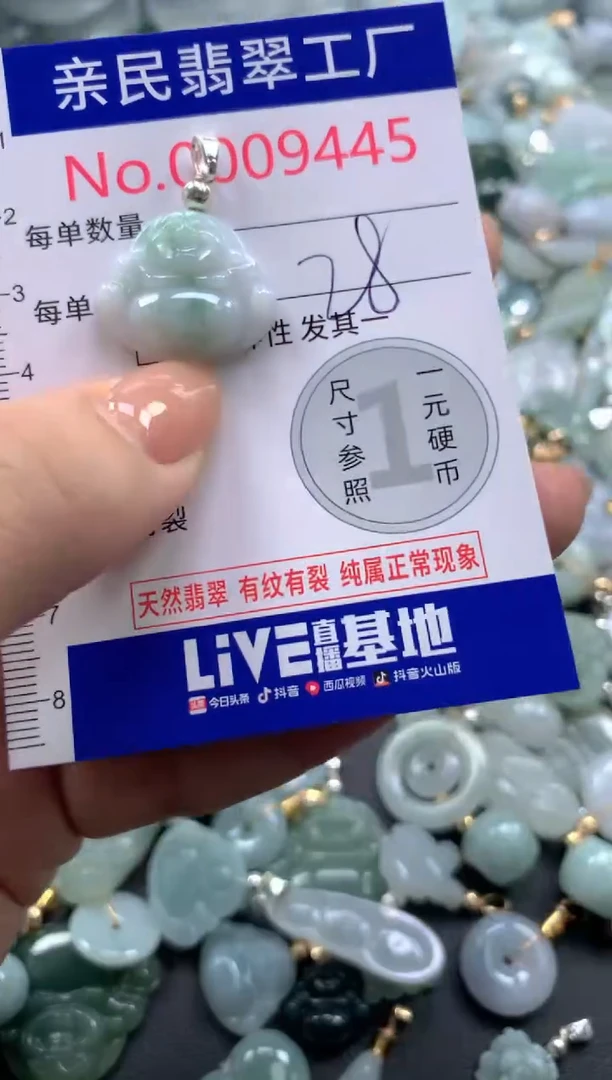 颈饰未镶嵌翡翠9445