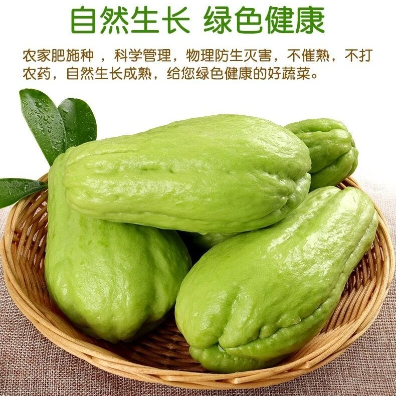 现采云南佛手瓜农家种植可炒可炖汤（福寿瓜洋丝瓜）包邮
