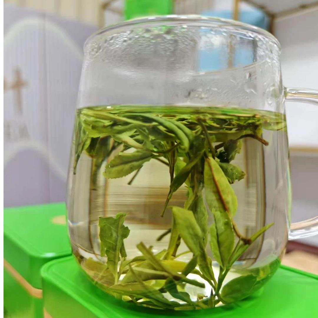 【口粮天花板】新茶毛峰 头采春茶 平价好茶M308