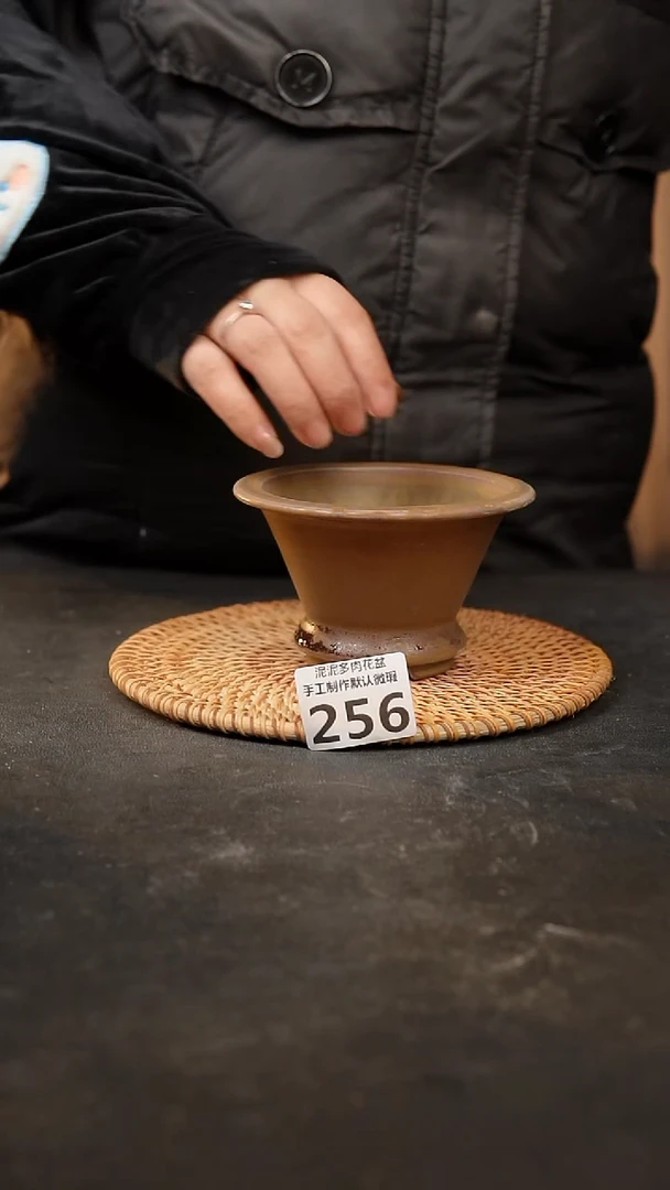 【闪购商品】瓷片256泥泥手工花盆口10