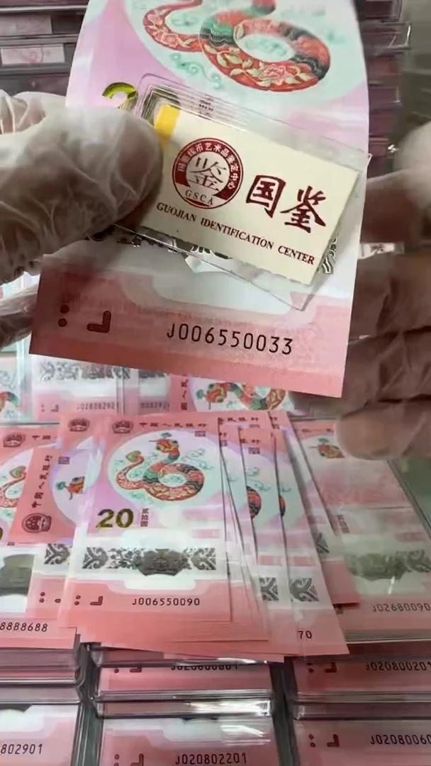 【闪购商品】塑料006550033-蛇钞单张！