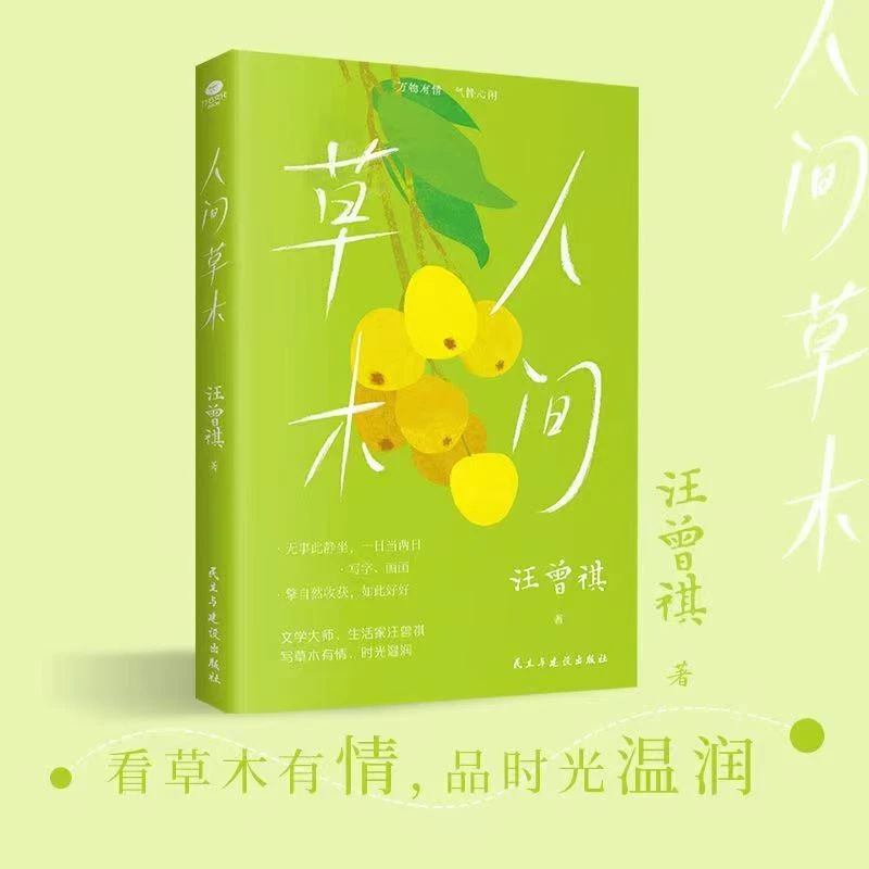 人间草木 汪曾祺散文随笔 文集珍藏版当代文学经典推荐正版书籍