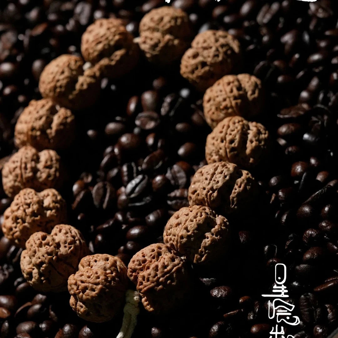 预售【战神绝情帝王花】2026年尼泊尔大金刚菩提毕业梅花 XC005