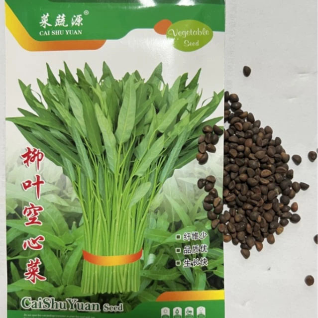 空心菜种子秧苗柳叶大叶空心菜竹叶蔬菜种子种苗